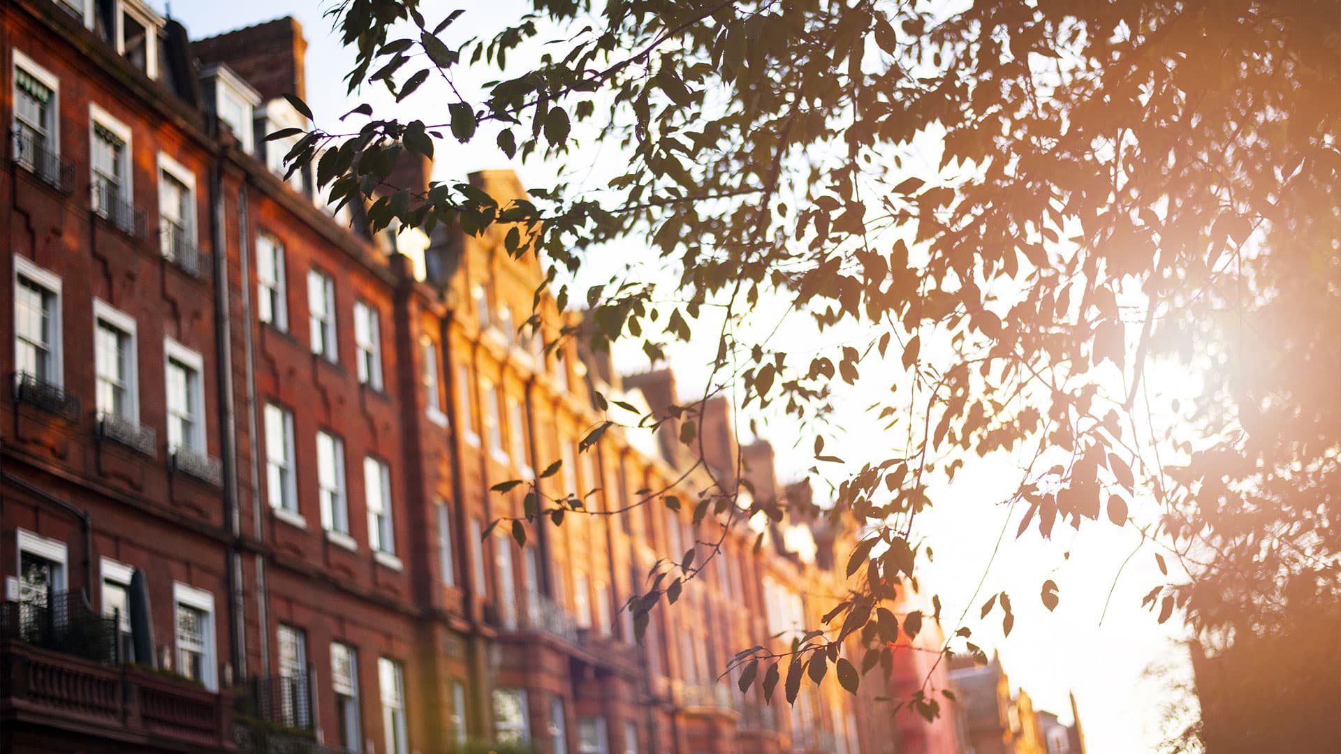 <span style="color:hsl(0, 0%, 100%);">HOW MUCH IS YOUR HOME WORTH?</span>